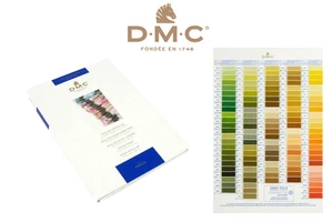 DMC Shade Card With Real Thread Samples - Mouliné Stranded Cotton Pearl Metallic - Picture 1 of 10