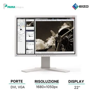 Monitor LCD 22" Eizo Flexscan S2202W 1680x1050 VGA-DVI Wide Multimediale Rico... - Foto 1 di 4