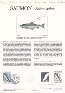 Document philatélique 1er jour 31- 1990 Nature de France Le Saumon - Bild 1 von 1