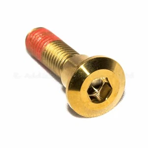 6x KTM 125 Duke 2017-2023 Gold Titanium Front Disc Rotor Bolts Screws M8x25 - Picture 1 of 1