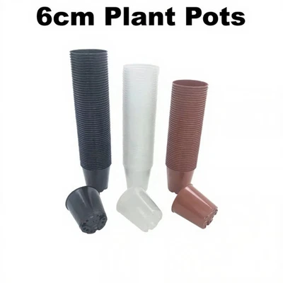 6cm Plant Pots Small Strong Flower Orchid Pot Cactus 2.5" Chilli - Image 1 of 4