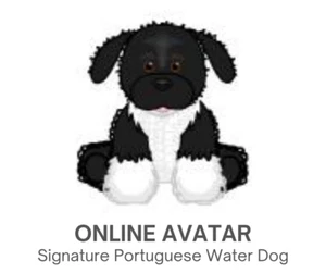 Webkinz Classic Signature Portuguese Water Dog Pet Code Only - Bild 1 von 2