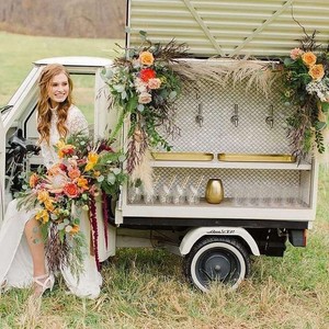 Custom Tap Trucks, Bar Carts, Food Trucks, Small Business Ventures - Piaggio Ape