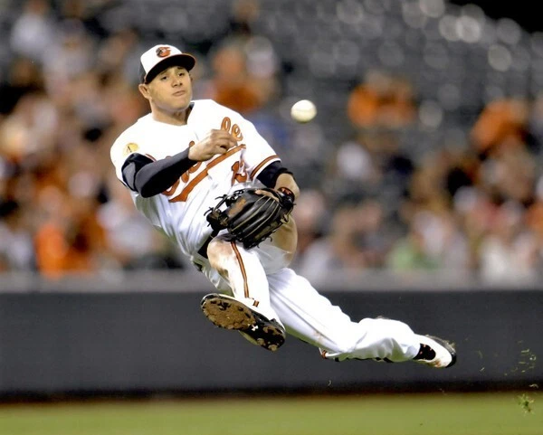 MANNY MACHADO Baltimore Orioles 8 x 10 Photo Poster Baseball - Image 1 of 1