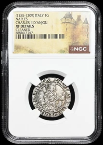 ITALY, Naples. Charles II D'Anjou, 1285-1309. Silver Gigliato, NGC XF Details - Picture 1 of 2