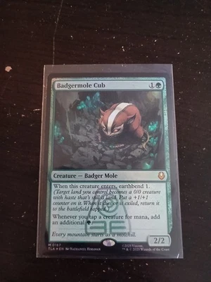 Magic The Gathering Avatar The Last Airbender Badgermole Cub Foil - Image 1 of 2