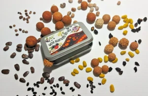 NATIVE BUSH TUCKER SEED PACK-GIFT BOXED-GROW YOUR OWN GARDEN SHRUBS FRUIT TREES - Picture 1 of 23