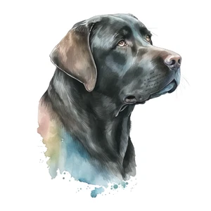 Autoaufkleber Sticker Labrador Aufkleber 9X9 cm - Picture 1 of 10