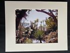 11 X 14 Photo In Matte - Signed By Photographer Marie Whitton- Garden @ Monte Ca