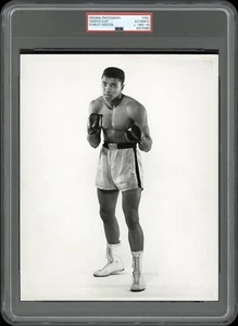 Cassius Clay 1962 Type 1 Original Photo PSA/DNA by Stanley Weston Crystal Clear! - Picture 1 of 2