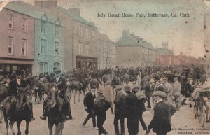 Juli Große Pferdemesse Buttevant Cork Irland Postkarte 1905 Macdonald - Bild 1 von 2