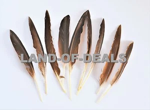 40+ Duck pointer feathers Natural brown loose real feathers for crafts 0.5/1 oz - Picture 1 of 8