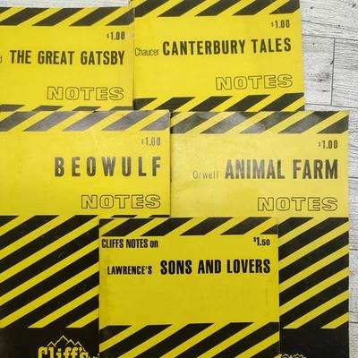 Vintage Cliffs Notes Set • Dark Academia Studycore • Gatsby Chaucer Orwell 1960s - Image 1 of 3