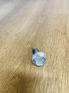 Briggs & Stratton OEM 698139  Screw Flywheel Bolt - Picture 1 of 3