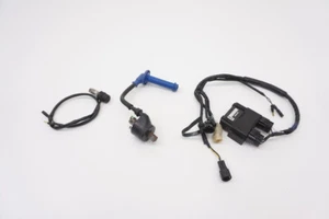 CRF450R 2005 CDI caja OEM arnés de cables bobina de encendido interruptor de apagado Honda CRF450 CRF - Imagen 1 de 15