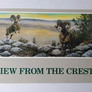 Bighorn Sheep Sandia Crest  Oil Painting Albuquerque NM Continental Postcard - Picture 1 of 3