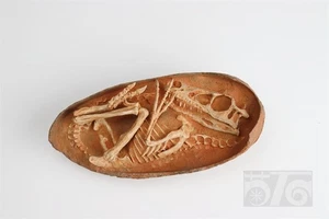 Jushi Studio Velociraptor Dinosaur Egg Fossils Model Dinosaur Statue New Stock - Picture 1 of 14