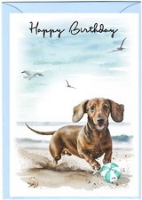 Dachshund Smooth Haired Dog Birthday Card (4"x 6") - blank inside - by Starprint