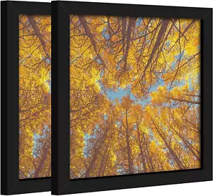 8X8 Picture Frame Black, 8X8 Diploma Frame Certificate Frame Set of 2, Display P - Picture 1 of 11