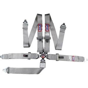 RJS Racing Equipment 1034907 5-Point Cam-Lock Racing Harness Grey - Bild 1 von 1