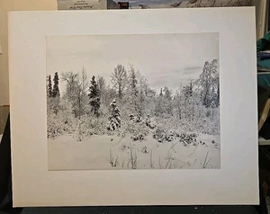 1940er 11x14 Foto Alaska Wildnis Landschaft Schneelandschaft auf 16x20 matt (#2) - Bild 1 von 6