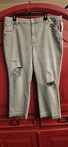 NWT M Jeans By Maurices 16W Green 25" Straight Crop Denim Jeans Distressed NEW - Picture 1 of 3