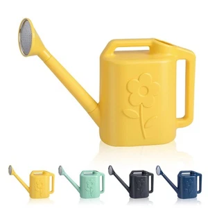 Watering Can for Indoor Plants,with Removable Long Spout and Stainless Steel ... - Picture 1 of 6