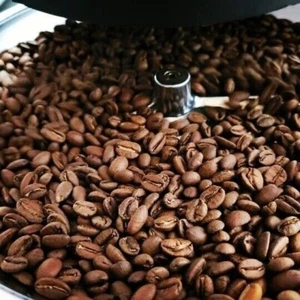 Columbian La Loma GEISHA Coffee Beans Roasted To Order Muth Rosten Haus 8oz - Picture 1 of 2