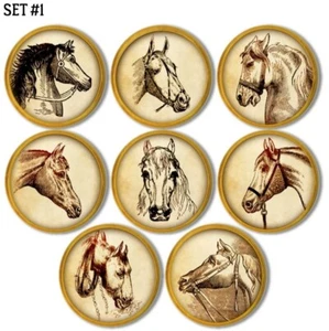 Rustic Horse Cabinet Knobs – 8pc Set Western Ranch Drawer Pulls, Farmhouse Style - Picture 1 of 4