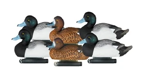 Dakota Decoy 21000 X'Treme Bluebill Duck Decoys 6 Pack w/ 4 Drakes and 2 Hens - Picture 1 of 2