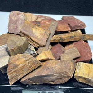 1lb 8oz Rare Green Water Washington Petrified Wood Tumbles Lapidary Rough #3 - Picture 1 of 13