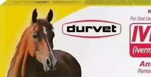 Durvet Equine Paste Anthelmintic and Boticide for Horses 0.21 oz  EXP  9/2025 - Picture 1 of 2