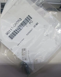Yamaha OEM Banshee YFZ 350 Talon Titanio Freno Trasero Rotor Perno 90111-08053 NUEVO - Imagen 1 de 3