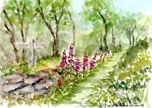 Foxgloves in Exmoor Woods A5 size Original Watercolour painting - Picture 1 of 1