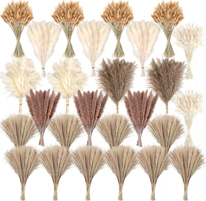 610 PCS Dried Pampas Grass Decor, Dried Flower Bouquets for Wedding, Home, Cente - Picture 1 of 7