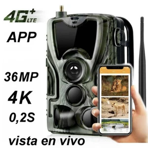 4G previa en vivo video 4K Cámara de Caza HC-801PRO invisible LED 36MP LTE SIM - Bild 1 von 6