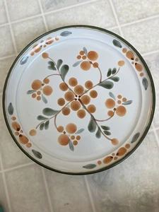 Plato de cena vintage de gres Noritake 8574 Bliss 10 1/2" descontinuado - Imagen 1 de 4