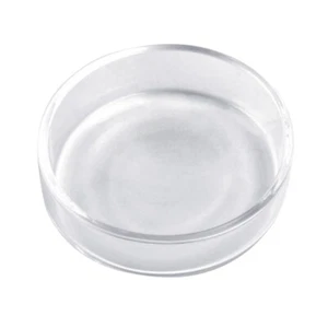 Alimentador de plato de alimentación de camarones cereza roja cristal de vidrio para pecera de acuario - Imagen 1 de 17