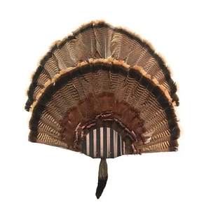 Turkey Fan Mounting Kit. Multiple Fan Display System with beard holder.  Black - Picture 1 of 6