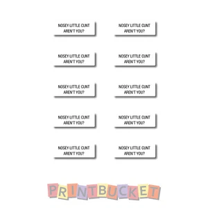 Nosey Little C*nt Sticker 30mm x 10mm 10 pack quality water & fade proof vinyl - Picture 1 of 1