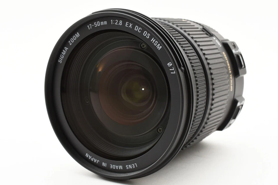 Lente zoom estándar SIGMA 17-50mm F2.8 EX DC OS HSM para Nikon APS-C 583552 - Imagen 1 de 1