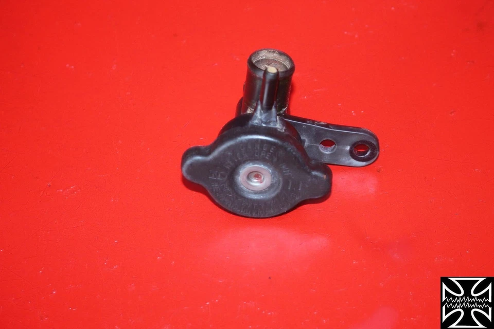 Tapa radiador Kawasaki Ninja 250r 2008 08 Foto 1 de 1