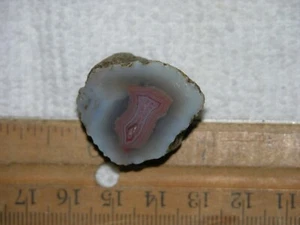 Laguna agate geode cut and polished Mexico 1 x 1 inch G68 - Picture 1 of 1