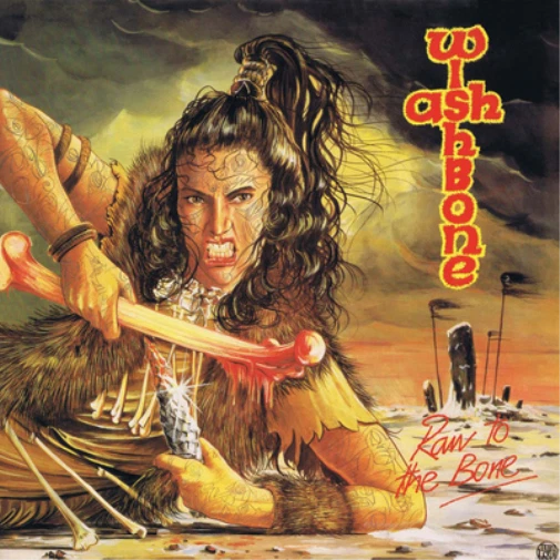 Wishbone Ash Raw to the Bone (CD) Album - Bild 1 von 1