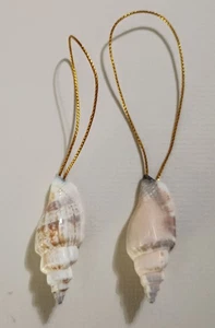 ECHTE NATÜRLICHE MUSCHELSCHALE 2 ORNAMENT SET FÜR WEIHNACHTSBAUM, MUSCHEL UND HANGAR - Bild 1 von 3