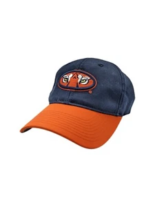 Auburn Tigers Ball Cap Cloth Tiger Eyes Unisex Kids Size S/M - Picture 1 of 7