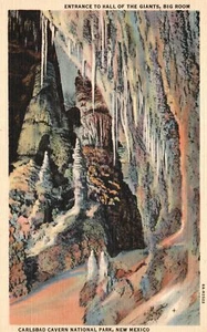 Postal de colección años 20 hall de entrada habitación grande parque nacional de la caverna de Carlsbad casi nueva - Imagen 1 de 2