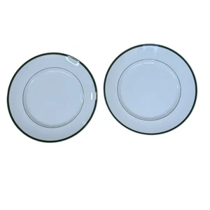 Williams-Sonoma BRASSERIE Green Wide 12” Dinner Plates 2 Discontinued Pattern - Picture 1 of 18