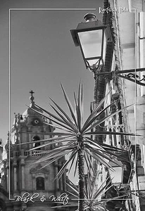 CARTOLINA DA COLLEZIONE BIANCO E NERO SICILIA - DUOMO DI SAN GIORGIO IBLA RAGUSA - Imagen 1 de 1