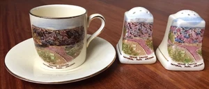 Jonroth England Royal Winton Grand Canyon Salt Pepper Shakers Tea Cup & Saucer - Picture 1 of 12
